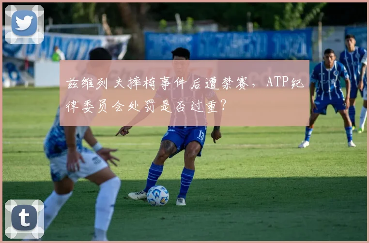 兹维列夫摔椅事件后遭禁赛，ATP纪律委员会处罚是否过重？